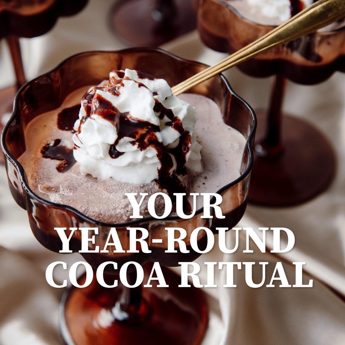 Single Serve Hot Cocoa Mix | Sinfully Classic | Cup of Coa Single Serve Hot Cocoa Mix | Sinfully Classic | Cup of Coa